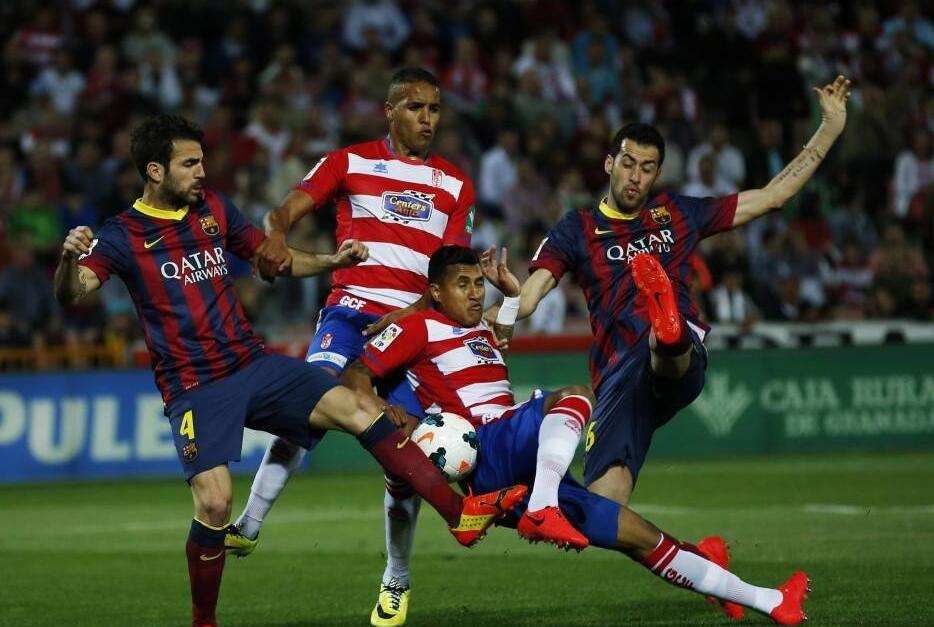 供了有益的 供了有益的